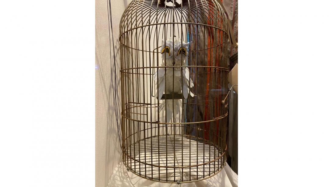 A Maxia Do Entroido Agárdate En AECOR 5/13