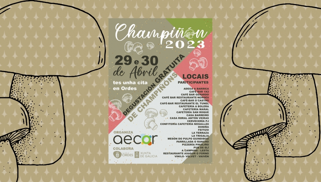 CHAMPIÑÓN 2023 1/1