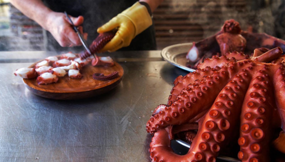 MESÓN DO PULPO GUINDIBOO - foto 1/2