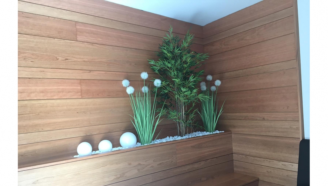 FLORISTERÍA AS MIMOSAS - foto 10/11