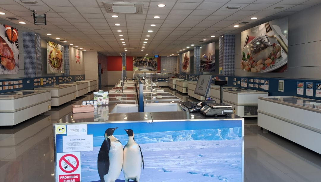 CONGELADOS ÁRTICO - foto 5/6