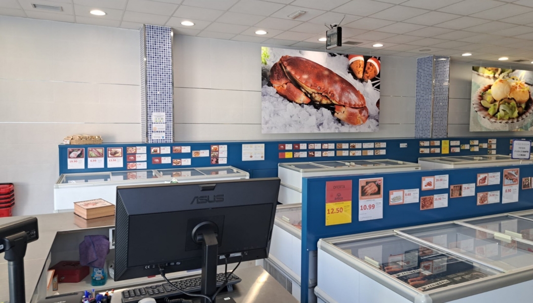 CONGELADOS ÁRTICO - foto 2/6