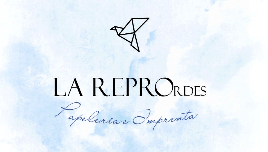LA REPRO PAPELERÍA E IMPRENTA - foto 1/1