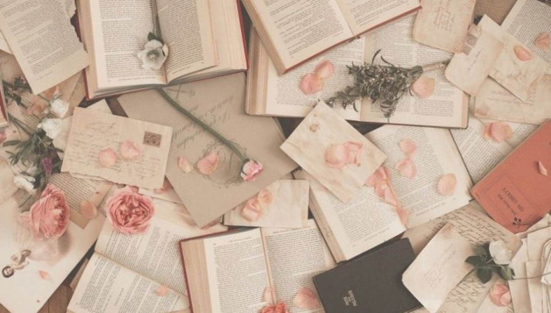 LIBRERÍA TANGO - foto 1/1