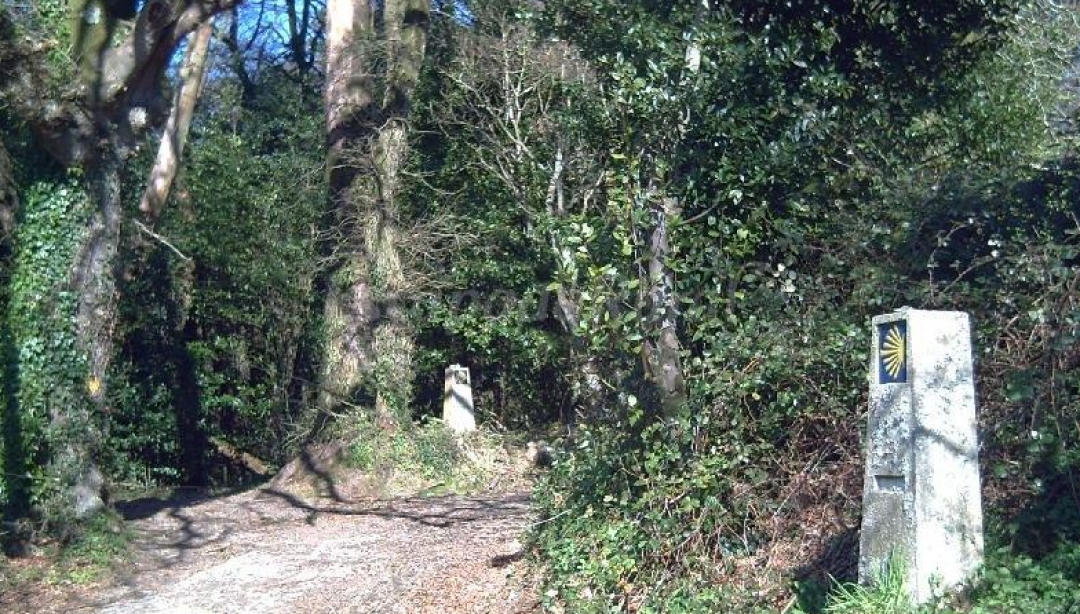 CASA RURAL ANTÓN VEIRAS - foto 2/4